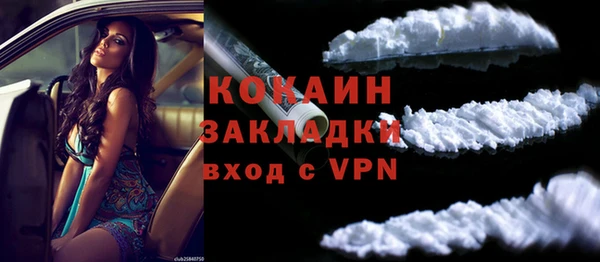 индика Беломорск