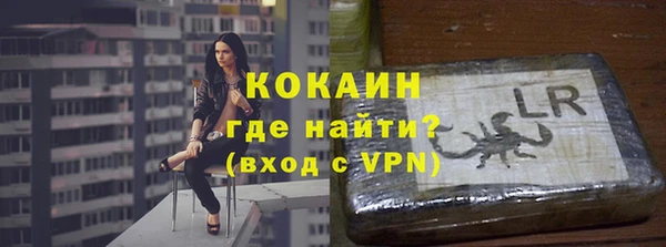 индика Беломорск