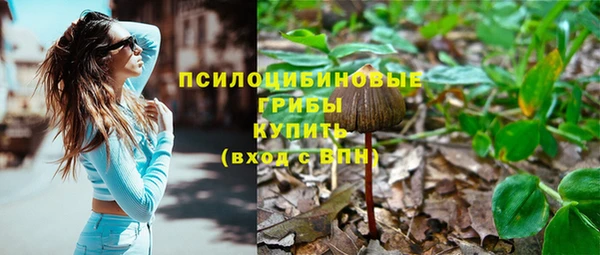 стаф Богородицк