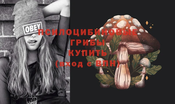индика Беломорск