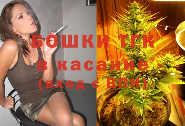 прущие грибы Сатка