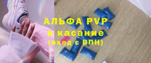 ПСИЛОЦИБИНОВЫЕ ГРИБЫ Белокуриха